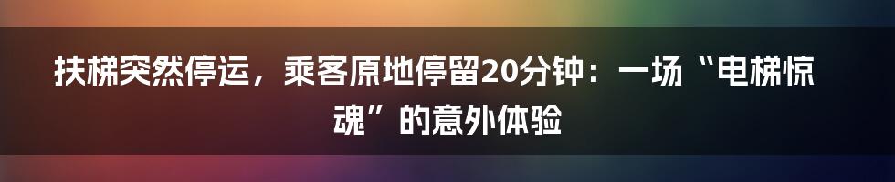 扶梯突然停运，乘客原地停留20分钟：一场“电梯惊魂”的意外体验