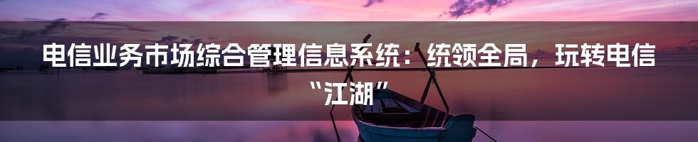 电信业务市场综合管理信息系统：统领全局，玩转电信“江湖”