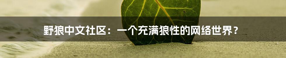 野狼中文社区：一个充满狼性的网络世界？