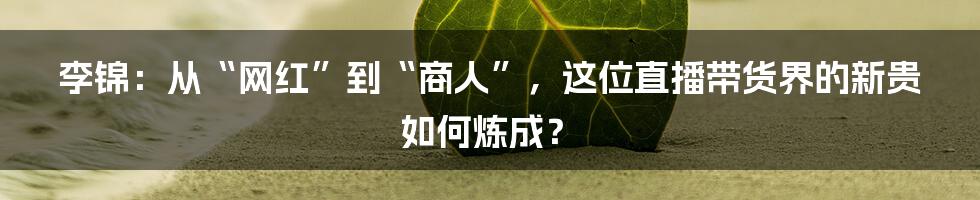 李锦：从“网红”到“商人”，这位直播带货界的新贵如何炼成？