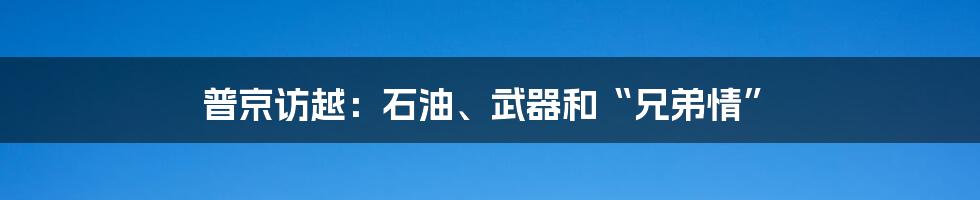 普京访越：石油、武器和“兄弟情”