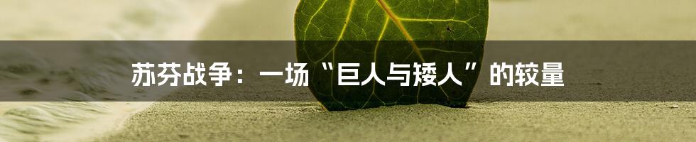 苏芬战争：一场“巨人与矮人”的较量