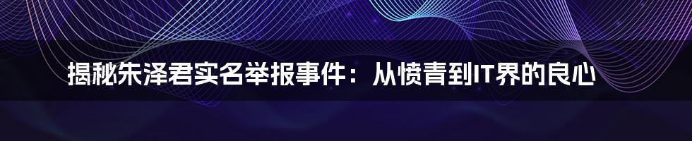 揭秘朱泽君实名举报事件：从愤青到IT界的良心