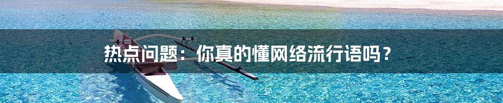 热点问题：你真的懂网络流行语吗？