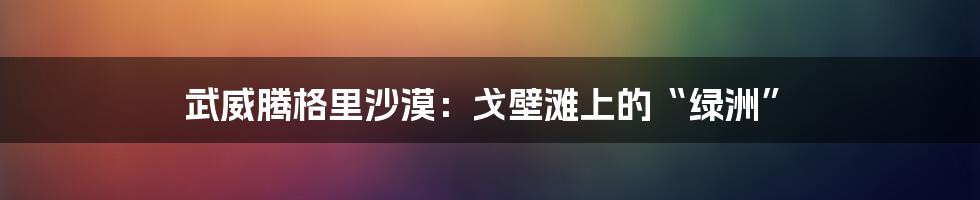 武威腾格里沙漠：戈壁滩上的“绿洲”