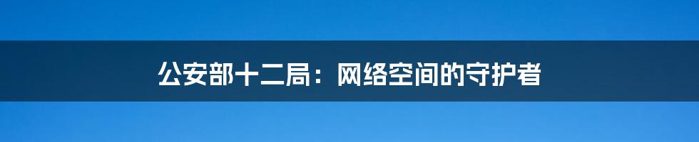 公安部十二局：网络空间的守护者