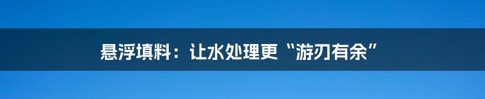 悬浮填料：让水处理更“游刃有余”