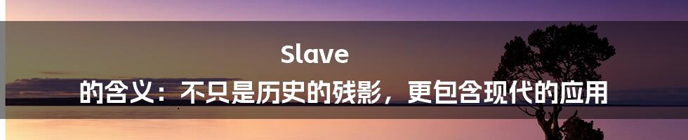 Slave 的含义：不只是历史的残影，更包含现代的应用