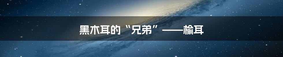 黑木耳的“兄弟”——榆耳