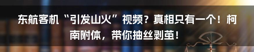 东航客机“引发山火”视频？真相只有一个！柯南附体，带你抽丝剥茧！