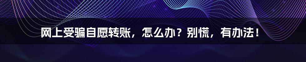 网上受骗自愿转账，怎么办？别慌，有办法！