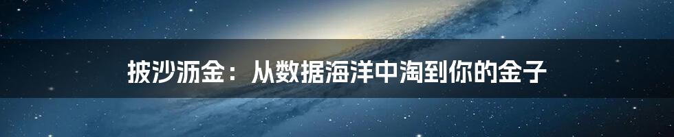 披沙沥金：从数据海洋中淘到你的金子