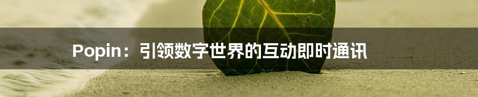 Popin：引领数字世界的互动即时通讯