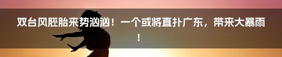 双台风胚胎来势汹汹！一个或将直扑广东，带来大暴雨！