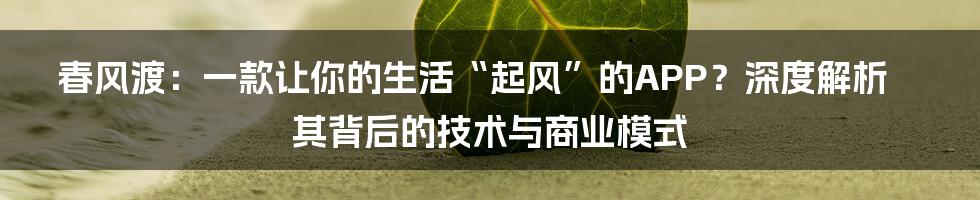 春风渡：一款让你的生活“起风”的APP？深度解析其背后的技术与商业模式