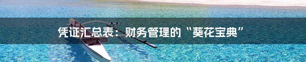 凭证汇总表：财务管理的“葵花宝典”