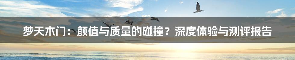 梦天木门：颜值与质量的碰撞？深度体验与测评报告