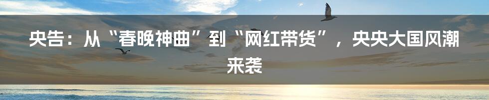 央告：从“春晚神曲”到“网红带货”，央央大国风潮来袭