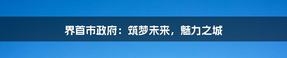 界首市政府：筑梦未来，魅力之城