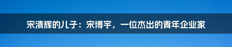 宋清辉的儿子：宋博宇，一位杰出的青年企业家