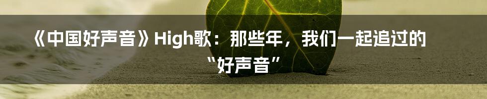 《中国好声音》High歌：那些年，我们一起追过的“好声音”