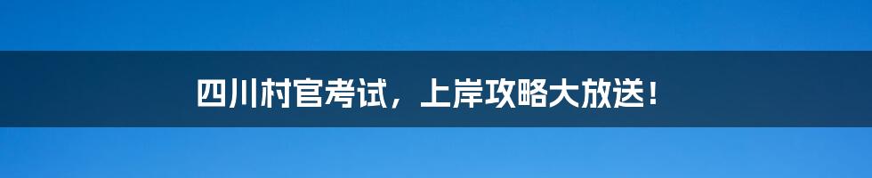 四川村官考试，上岸攻略大放送！