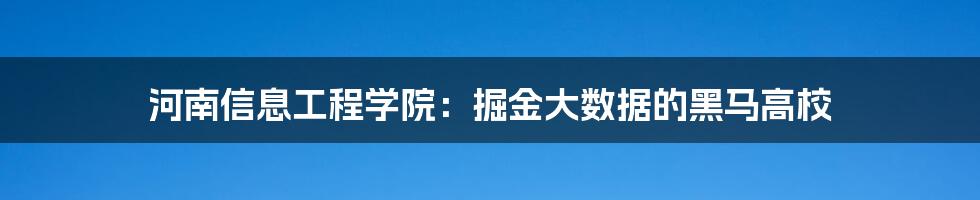 河南信息工程学院：掘金大数据的黑马高校