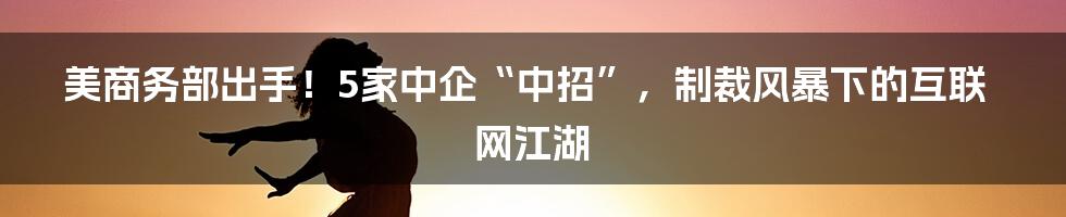 美商务部出手！5家中企“中招”，制裁风暴下的互联网江湖