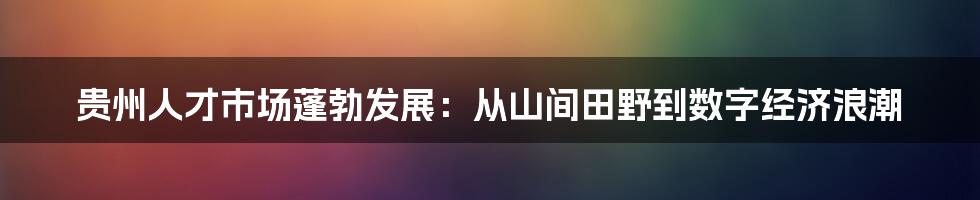 贵州人才市场蓬勃发展：从山间田野到数字经济浪潮